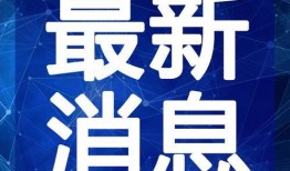 粥铺老板爆料视频大全最新,揭秘视频大全背后的惊人真相
