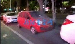 蔚山路最新爆料事件视频,事件视频揭秘惊人真相