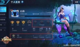 王者51最新爆料,神秘英雄登场，游戏格局再起风云