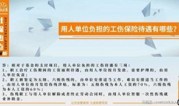 社会热点爆料最新发布,XX事件背后真相曝光