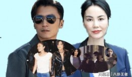 谢霆锋和王菲最新爆料,揭秘娱乐圈不为人知的一面
